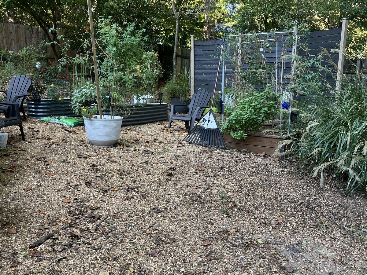 A cleared backyard after a junk and brush haul